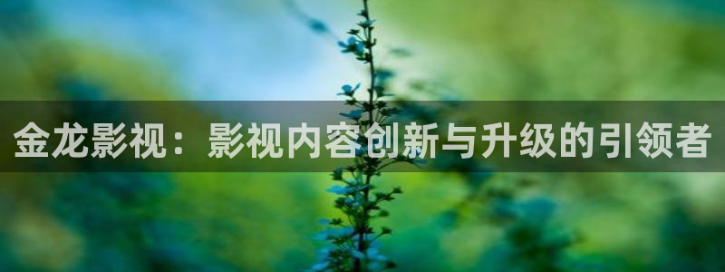 99玖玖視頻：金龍影視：影視內容創新與升級的引領者