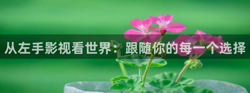 玖玖在線視頻99：從左手影視看世界：跟隨你的每一個選擇